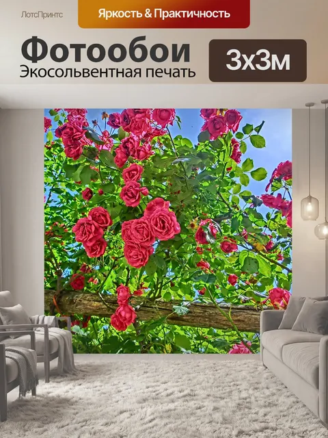 Фотообои Розы