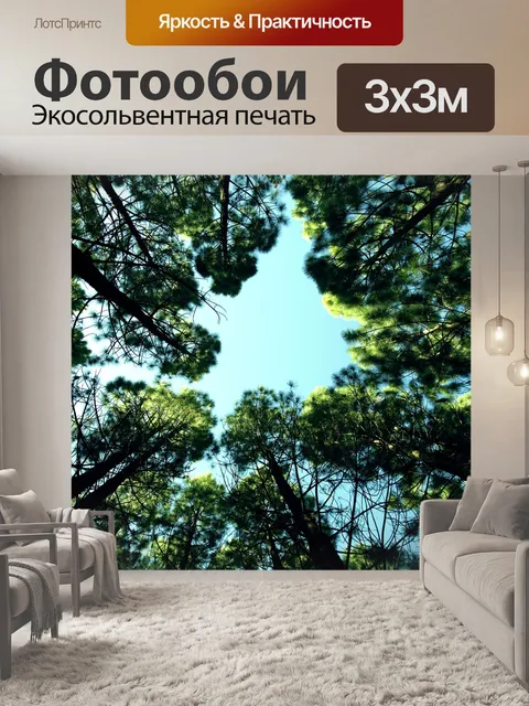 Фотообои Вверх