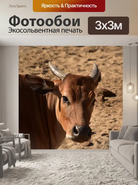 Фотообои Коричневый короткорогий крупный рогатый