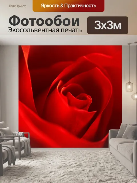 Фотообои Роза