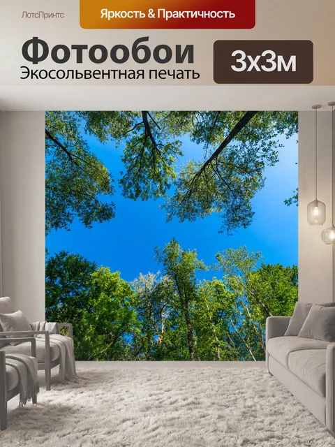 Фотообои Деревья