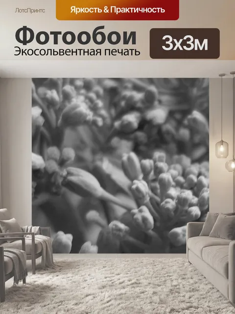 Фотообои Брокколи я