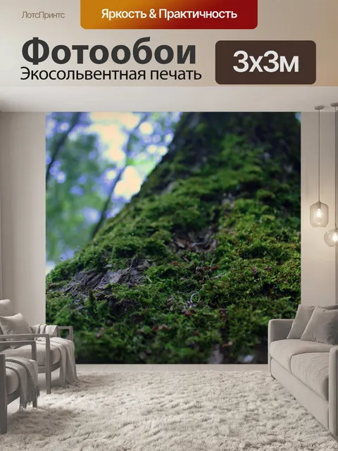 Фотообои Мох