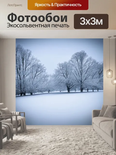 Фотообои с небом, холодное зимнее утро, снежный пейзаж, серое небо, деревья покрытые инеем, легкий холодный ветер