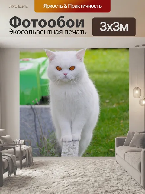 Фотообои Кошка