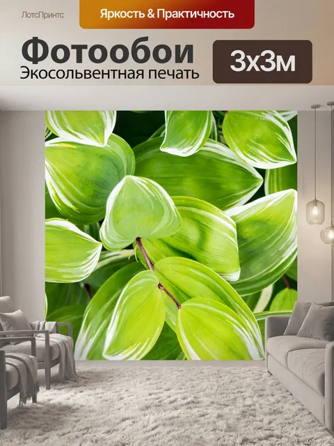 Фотообои На открытом воздухе