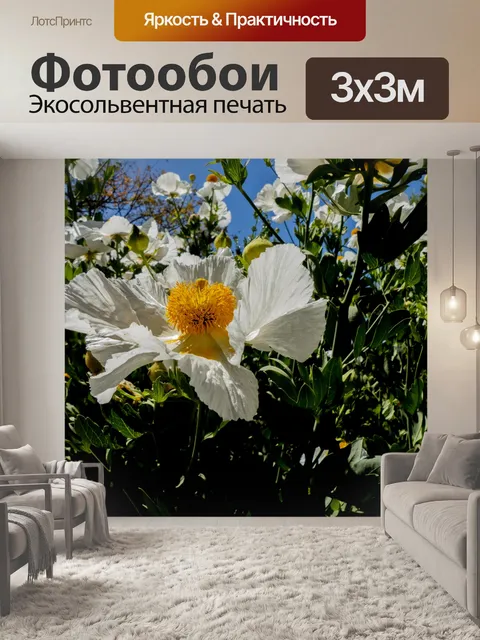 Фотообои Калифорнийское дерево мака