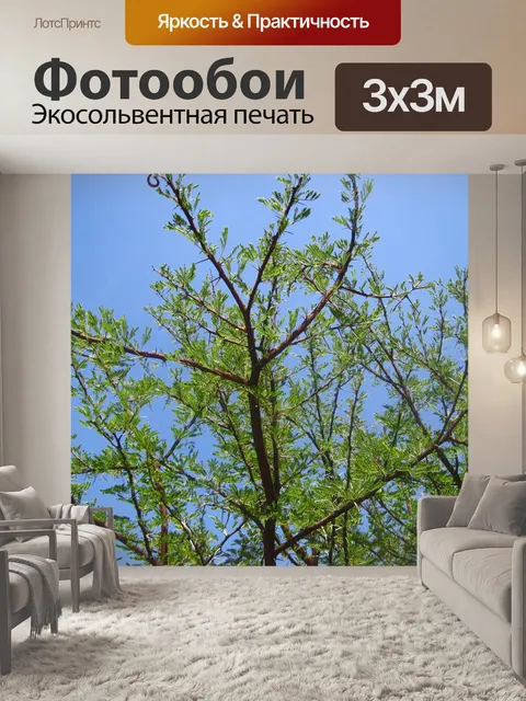 Фотообои Яркое голубое небо за сладким шипом