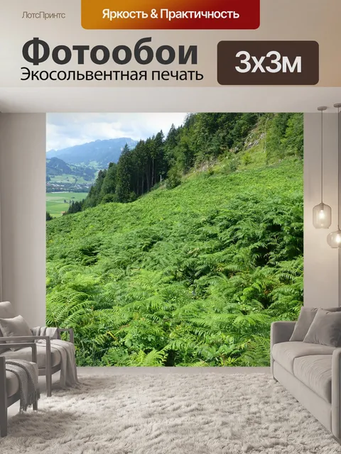 Фотообои Allgäu