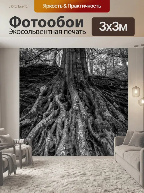 Фотообои Старое дерево
