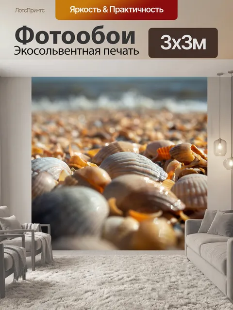 Фотообои Море, азовское море, ракушки