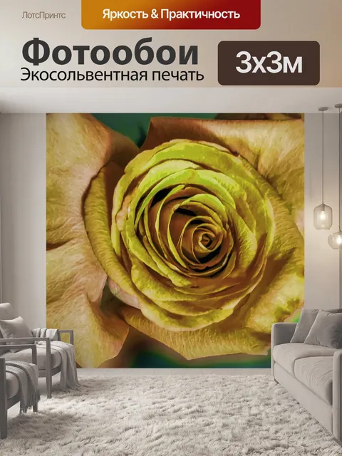 Фотообои Золотая роза