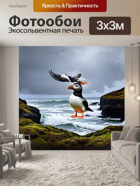 Фотообои тупик, величественно парящий над скалистыми берегами исландии, выделяется своим ярким оперением среди серых…