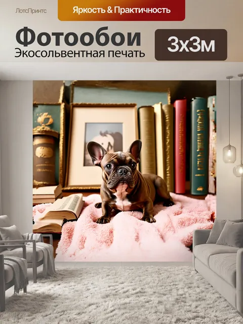 Фотообои очаровательный французский бульдог лежит на мягком пледе рядом с книгами