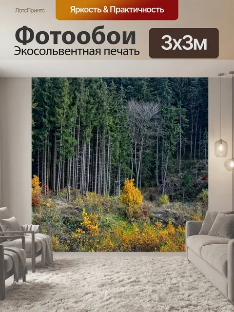 Фотообои Деревья