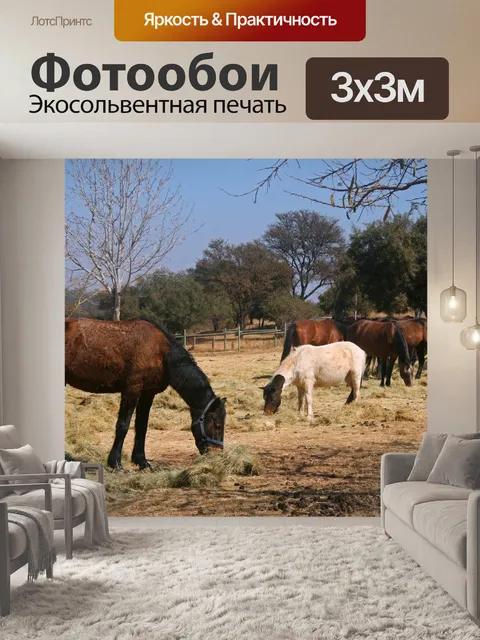 Фотообои лошади, показывающие толстую зимнюю шубу