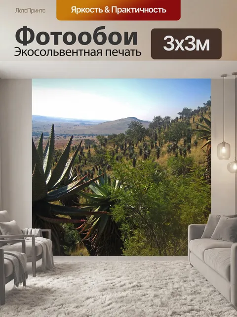 Фотообои горное алоэ на склоне