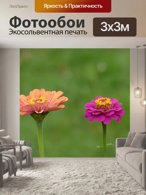 Фотообои Цветок