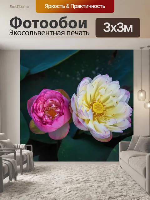 Фотообои Золотой лотос розовый границы
