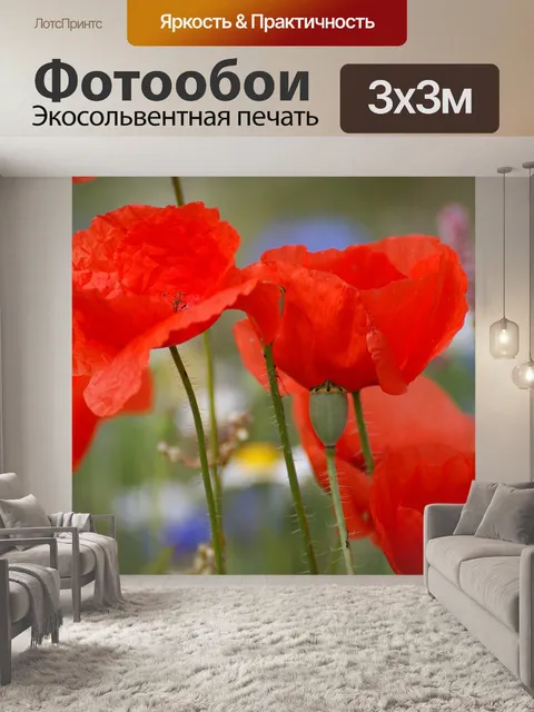 Фотообои Маки