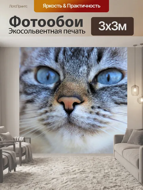 Фотообои Серый кот