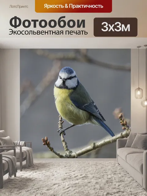 Фотообои Весенняя синяя синица