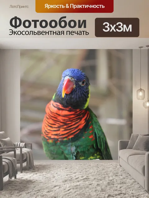 Фотообои Птицы