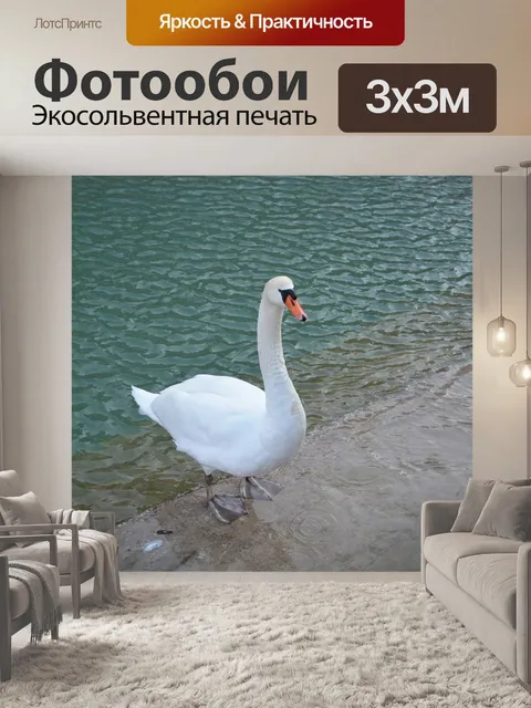 Фотообои Лебедь