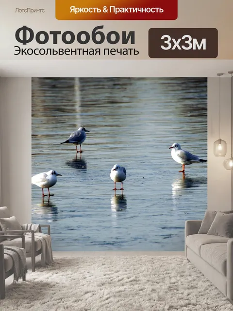 Фотообои Птицы чайки зима ледяная поверхность