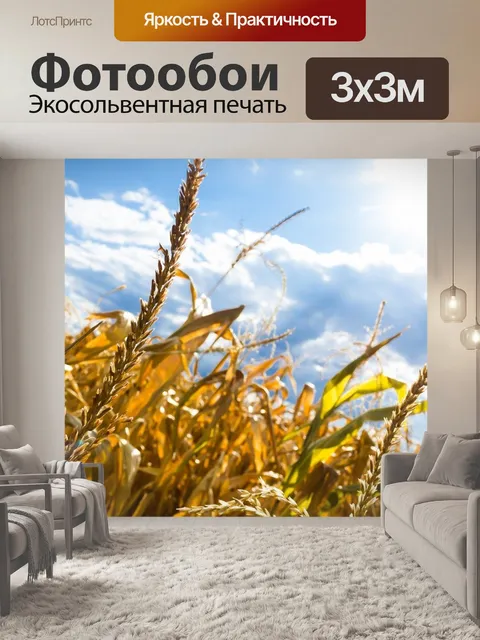 Фотообои Засуха