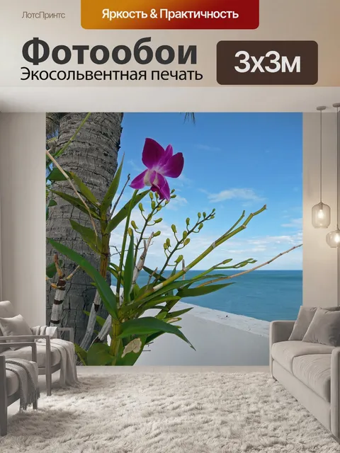 Фотообои Орхидеи