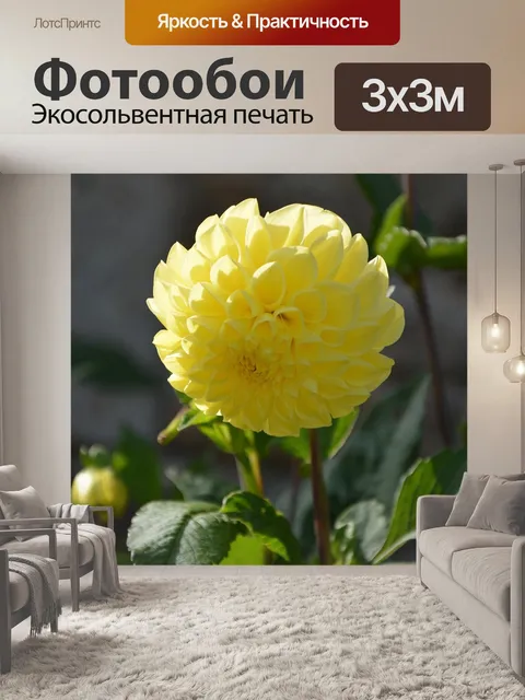 Фотообои Желтый цветок
