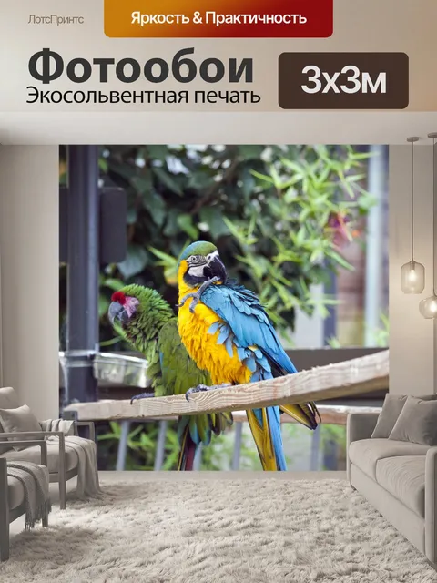 Фотообои Ара