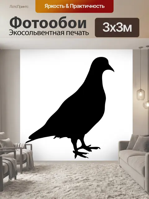 Фотообои Птица силуэт, Pigeon