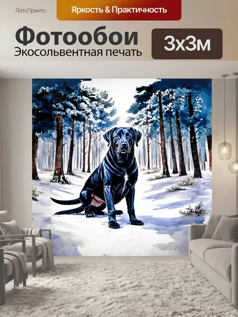 Фотообои черный лабрадор в зимнем лесу