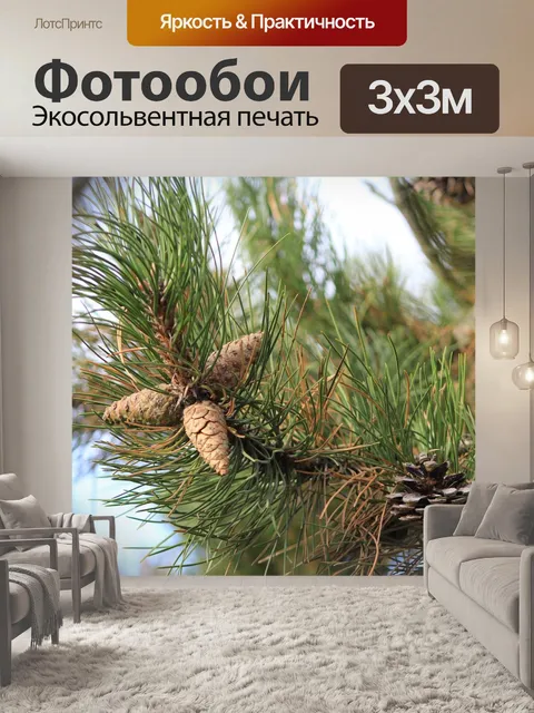 Фотообои Сосновые шишки