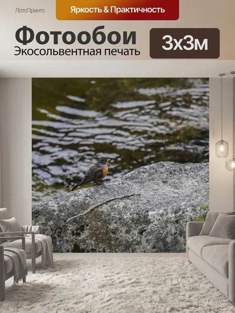 Фотообои Птица на скале
