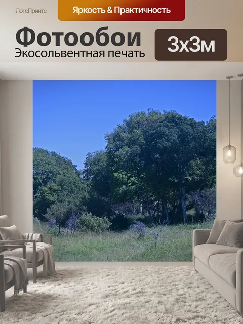 Фотообои большие деревья на поляне