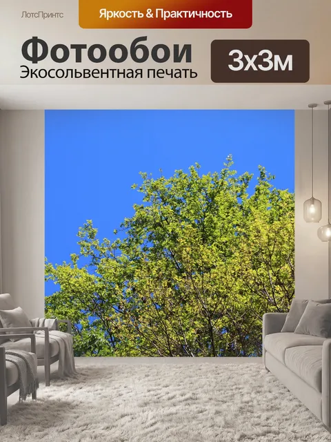Фотообои зеленое дерево сверху