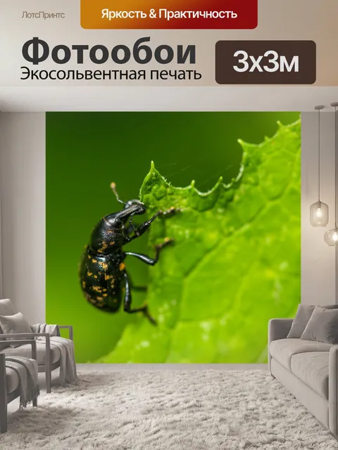 Фотообои Завтрак на траве