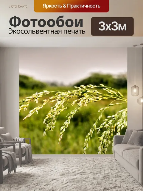 Фотообои Желтый сорняк