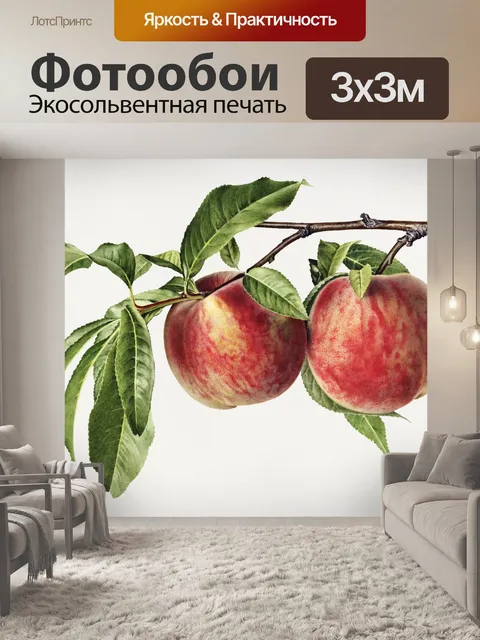 Фотообои Персиковый фрукт арт винтаж