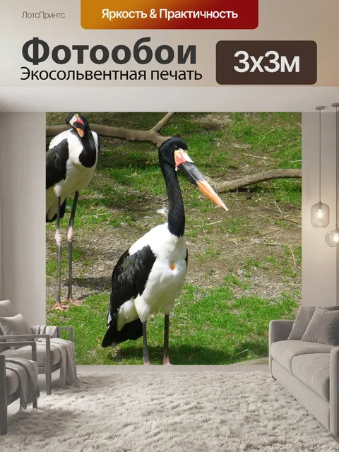 Фотообои Аист абдимс