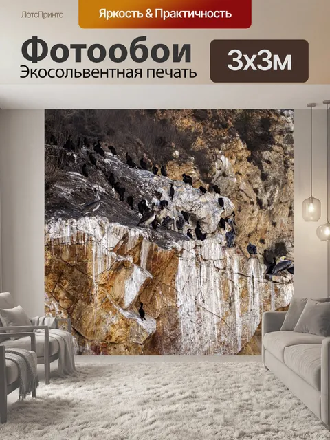 Фотообои Бакланы на скале