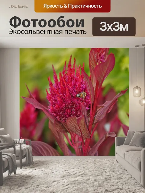 Фотообои Цветы и пчела Maroon Celosia