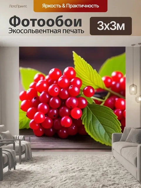 Фотообои яркие фрукты калины на деревянном столе