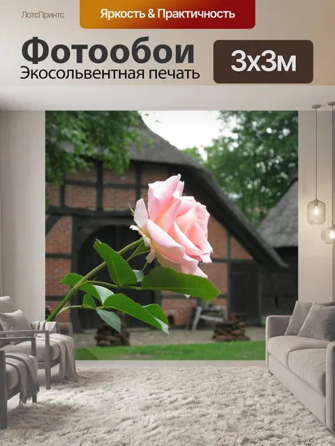 Фотообои Роза