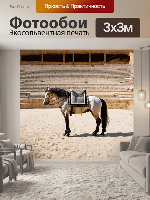 Фотообои в древнем римском амфитеатре