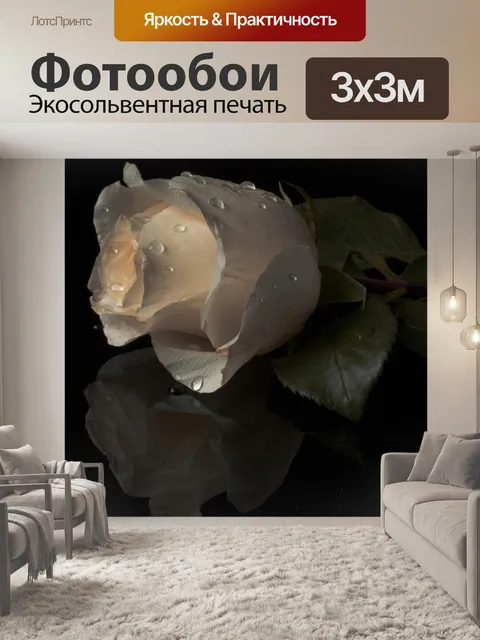 Фотообои Розы