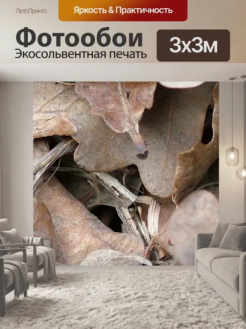 Фотообои Листья